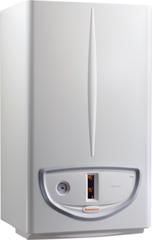 Caldaia Immergas Camera Aperta NIKE ECO 24 Metano low NOx